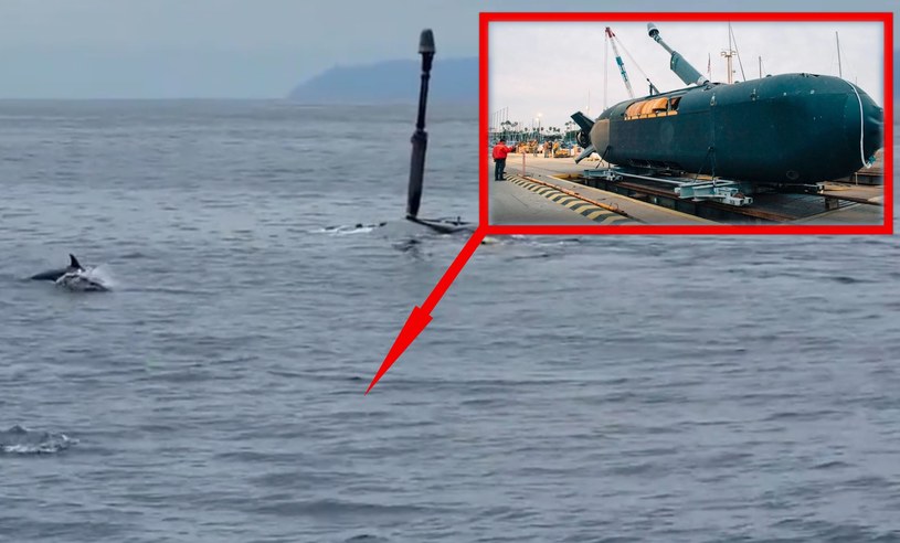 Boeing uwolnił swoją Orcę. Co potrafi ten pojazd bezzałogowy? /twitter.com/BoeingDefense /materiały prasowe