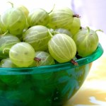 Bogaty w przeciwutleniacze, świetny dla serca i figury. Dlaczego warto jeść agrest?