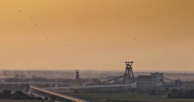 Bogdanka jest spółką notowaną na GPW. Fot. Lubelski Węgiel Bogdanka /