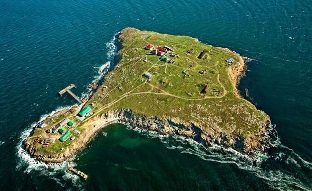 Bohaterowie z Wyspy Węży żyją i są w niewoli