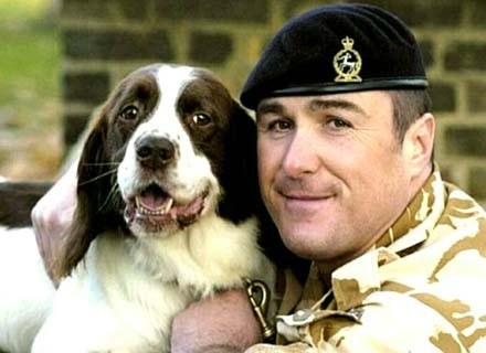 Bohaterski pies-saper Buster i jego opiekun sierżant Danny Morgan z armii brytyjskiej /MWMedia