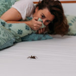 Boisz się pająków? Z tej fobii można się wyleczyć