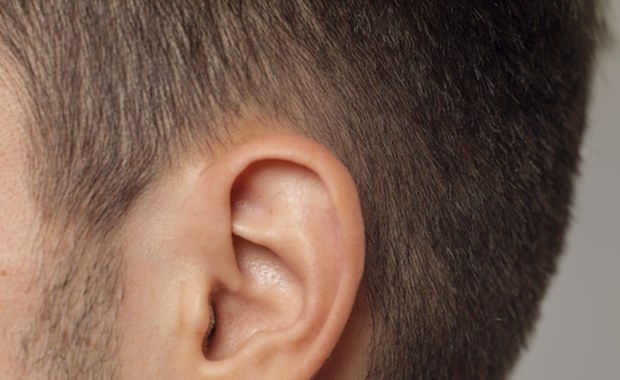 Bójka radnego z biznesmenem. Jeden drugiemu odgryzł kawałek ucha