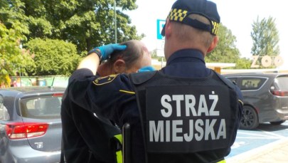 Bójka w okolicy stołecznego zoo z użyciem siekiery i... widelca