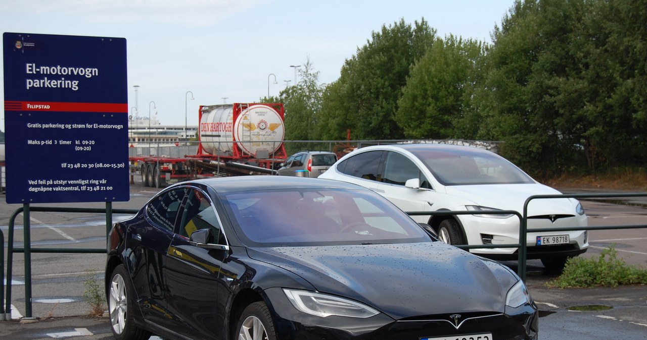 Bojkot Tesli ostudzi poilityczne zapędy Elona Muska? na zdj. samochody Tesla w stolicy Norwegii - Oslo /PIERRE-HENRY DESHAYES /AFP