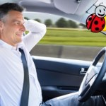 Ból pleców w aucie? Ta poduszka za 50 zł może Cię zaskoczyć