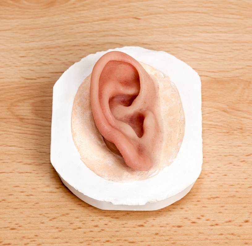Ból ucha może wywoływać bakteria lub niedoleczona infekcja wirusowa - tak jest w przypadku półpaśca /123RF/PICSEL