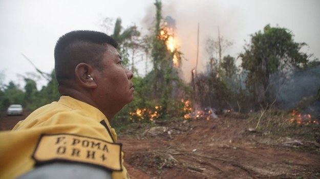 Boliwijski strażak patrzy na zniszczony przez ogień las amazoński /Juan Pablo Roca /PAP/EPA