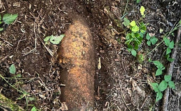 Bomba lotnicza znaleziona w lesie niedaleko Wrocławia