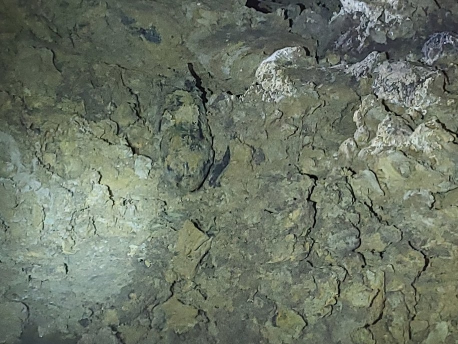 Bomba w wykopie ziemnym /Policja