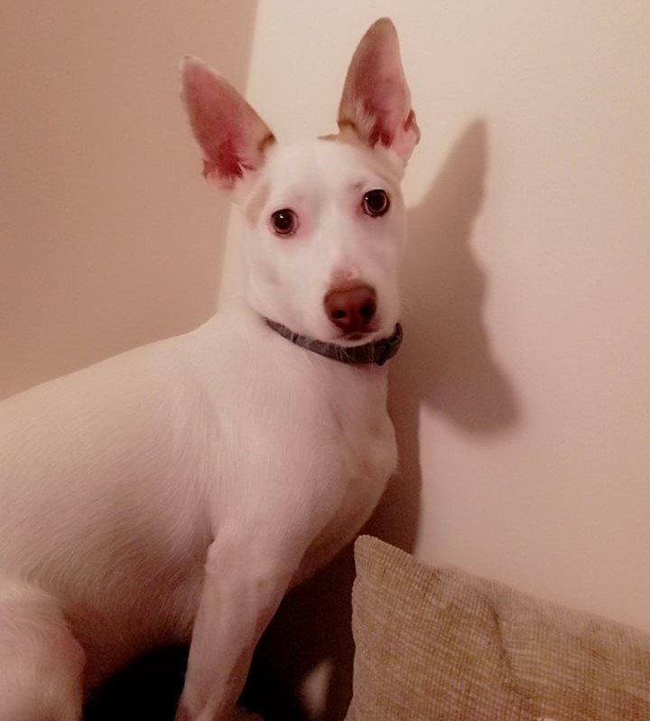 Boni /Katarzyna Podraza /RMF FM