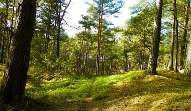 Bony zniknęły w dwie minuty. Ogromne zainteresowanie turystycznym programem