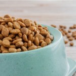 rynek Boom na karmę dla zwierząt. Polska staje się centrum produkcyjnym