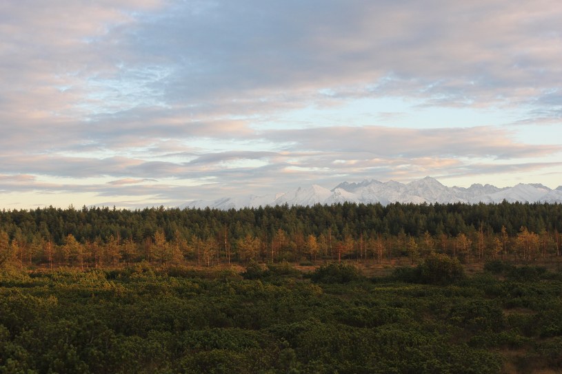 Bór na Czerwonem, czyli drewnianą kładką przez torfowisko. Niezwykły punkt widokowy na Tatry