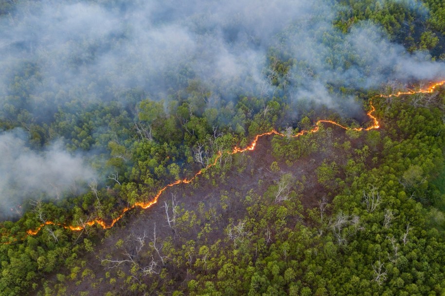 Borneo /Shutterstock