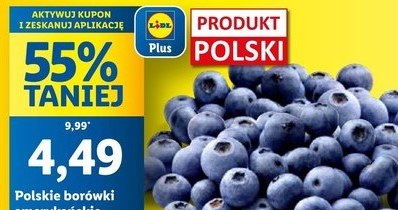 Borówka 55% taniej w Lidlu! /Lidl /INTERIA.PL