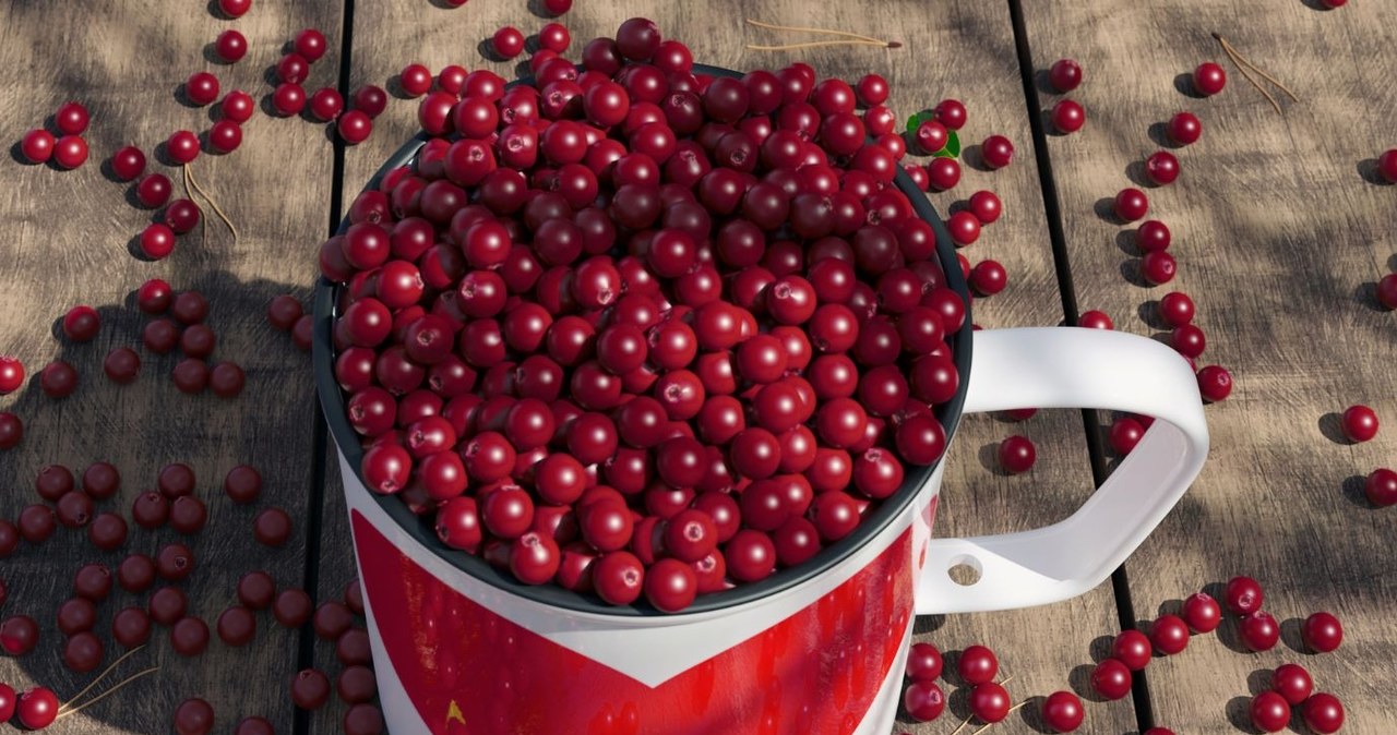 Borówka brusznica jest bazą pysznych, kwaskowatych przetworów /Pixabay /Canva Pro