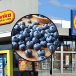Borówki za grosze w Biedronce i Lidlu! Która promocja jest lepsza?