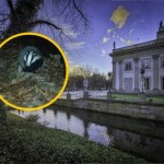 Borsuk z Łazienek ma szlacheckie imię. Wybór internautów zaskakuje