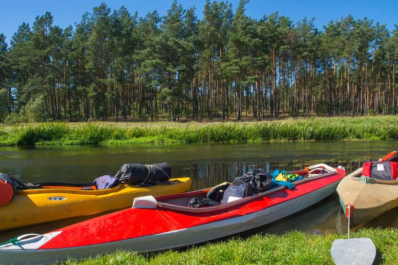 Bory Tucholskie przypadną do gustu kajakarzom /123RF/PICSEL