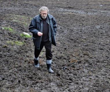 Borykając się z problemami finansowymi, poznaje Franka, postać niezwykle barwną. Frank, emerytowany profesor matematyki, namiętny gracz na wyścigach konnych, nieustannie próbuje wygrać duże pieniądze.