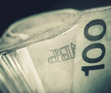 Borys, PFR: Deficyt finansów publicznych może wynieść ok. 2 proc. PKB  