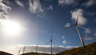 BOŚ - dotkliwe straty na farmach wiatrowych