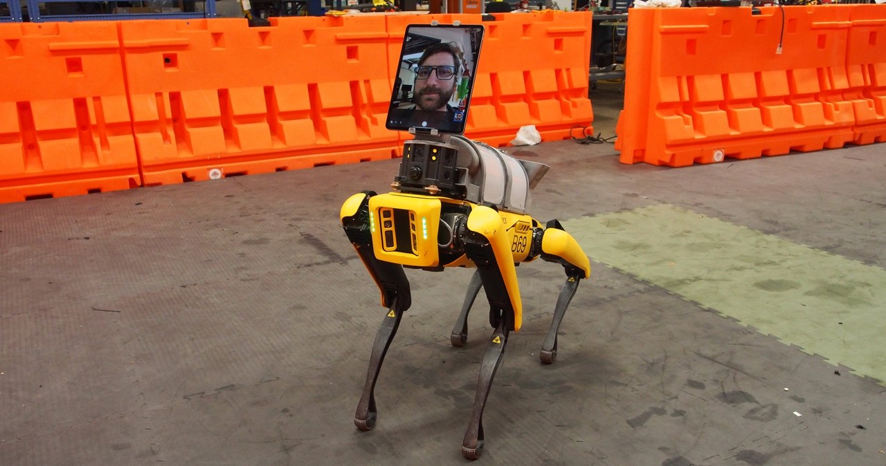 Boston Dynamics  Spot Mini /materiały prasowe