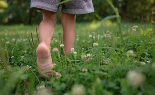 Bosy 4-latek na ulicy bez opieki. Groźne zdarzenie w Lubelskiem