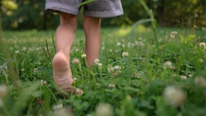 Bosy 4-latek na ulicy bez opieki. Groźne zdarzenie w Lubelskiem