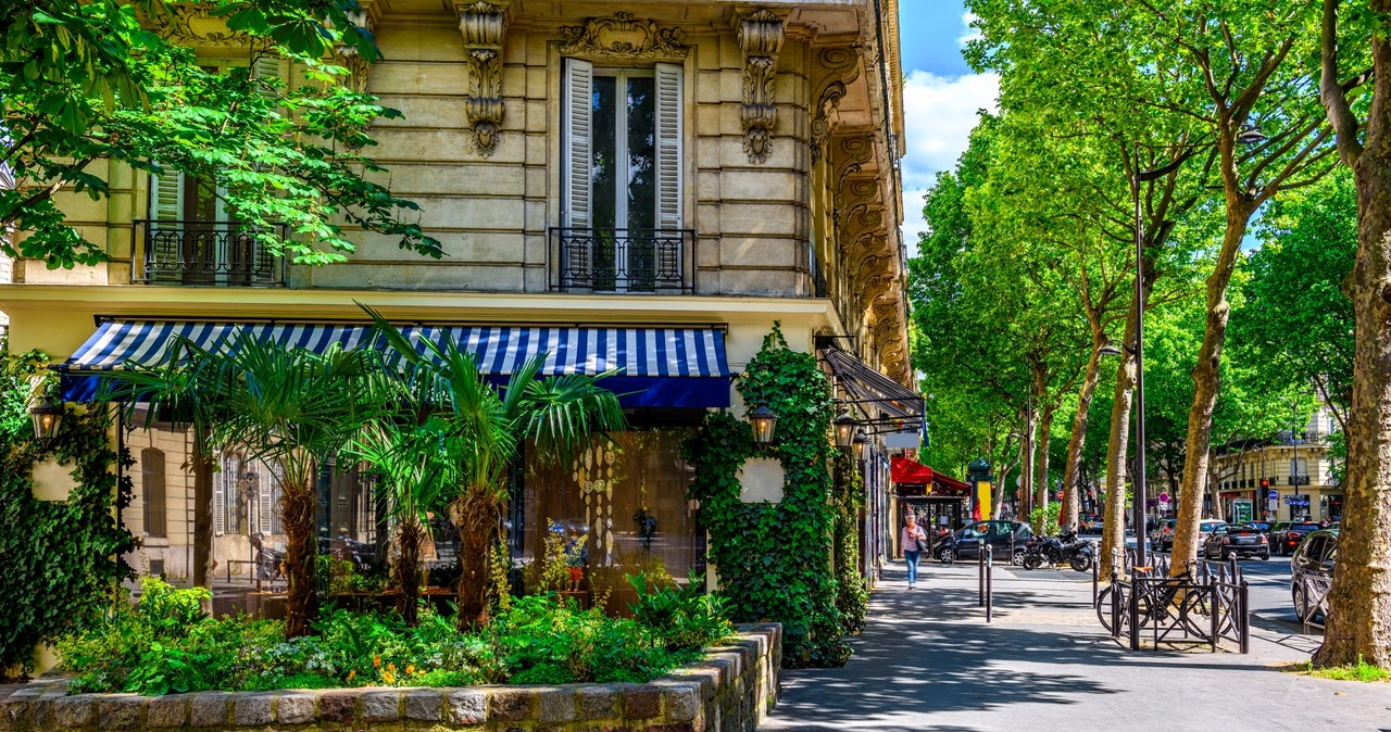Boulevard Saint-Germain jest główną ulicą w Paryżu /123RF/PICSEL