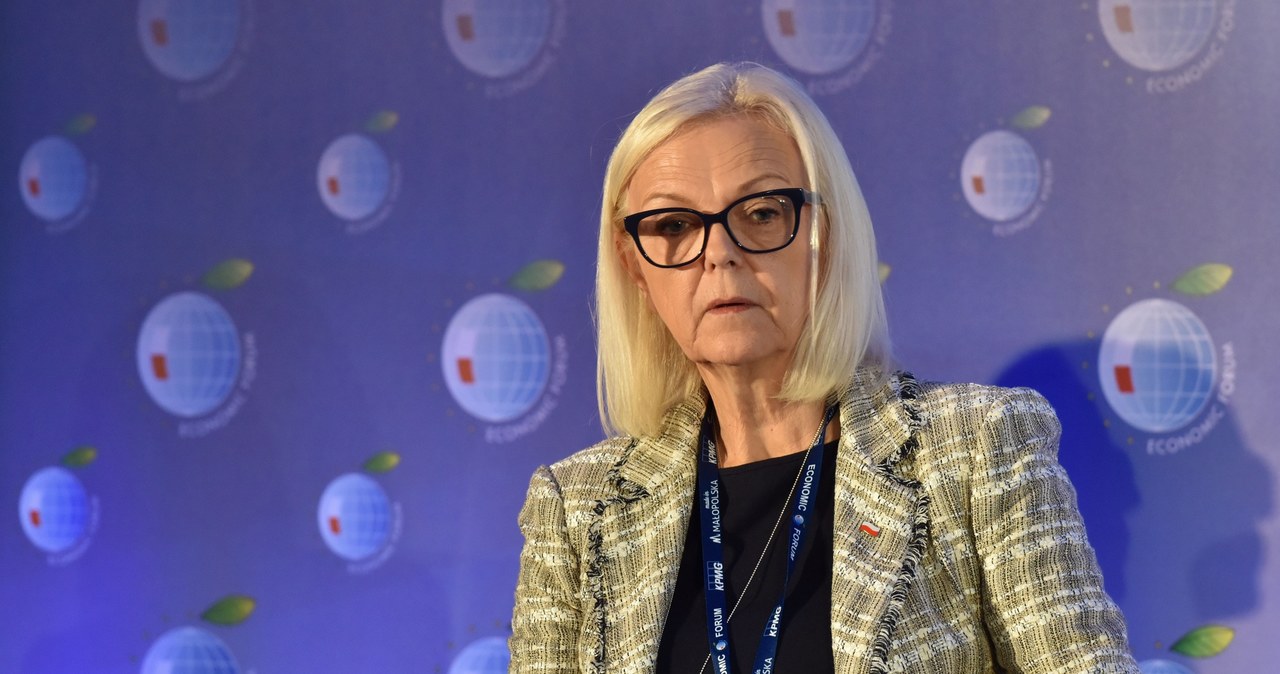 Bożena Borys-Szopa, minister rodziny /Artur Baranowski / Agencja SE /Agencja SE/East News