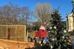 Bożonarodzeniowe ozdoby w Warszawie? "Dziwne, ale zwraca uwagę!"