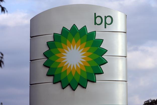 BP odnotował w 2010 r. 4,9 mld dolarów straty, wobec 13,9 mld dolarów zysku w 2009 r. /AFP