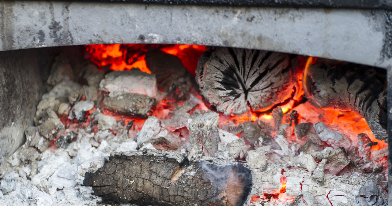 Braai przygotowuje się na drewnie opałowym /123RF/PICSEL