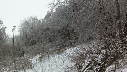 Brak prądu na Dolnym Śląsku. Kiedy awarie zostaną naprawione?
