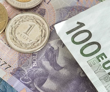 Brak środków z KPO uderzy w złotego. Euro może kosztować ponad 4,80 zł