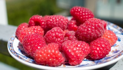 Brak zakazu importu malin z Ukrainy. Jest szansa na zmianę