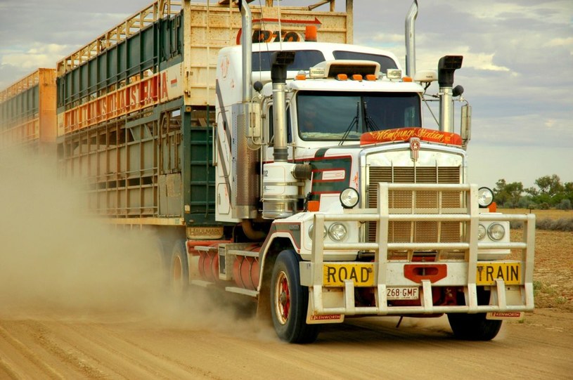 Braki AdBlue mogą zatrzymać australijski transport, rolnictwo i budownictwo /East News