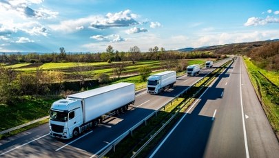 Braki kierowców są coraz większym problemem. Znamy najnowsze dane