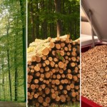 Brakuje pelletu, ekspert bije na alarm. "Radykalny deficyt trociny"