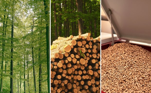 Brakuje pelletu, ekspert bije na alarm. "Radykalny deficyt trociny"