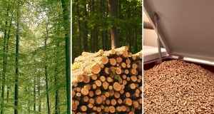 Brakuje pelletu, ekspert bije na alarm. "Radykalny deficyt trociny"