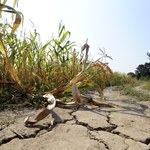 Brakuje wody pitnej. Ponad 100 francuskich gmin cierpi z powodu suszy