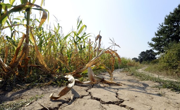 Brakuje wody pitnej. Ponad 100 francuskich gmin cierpi z powodu suszy