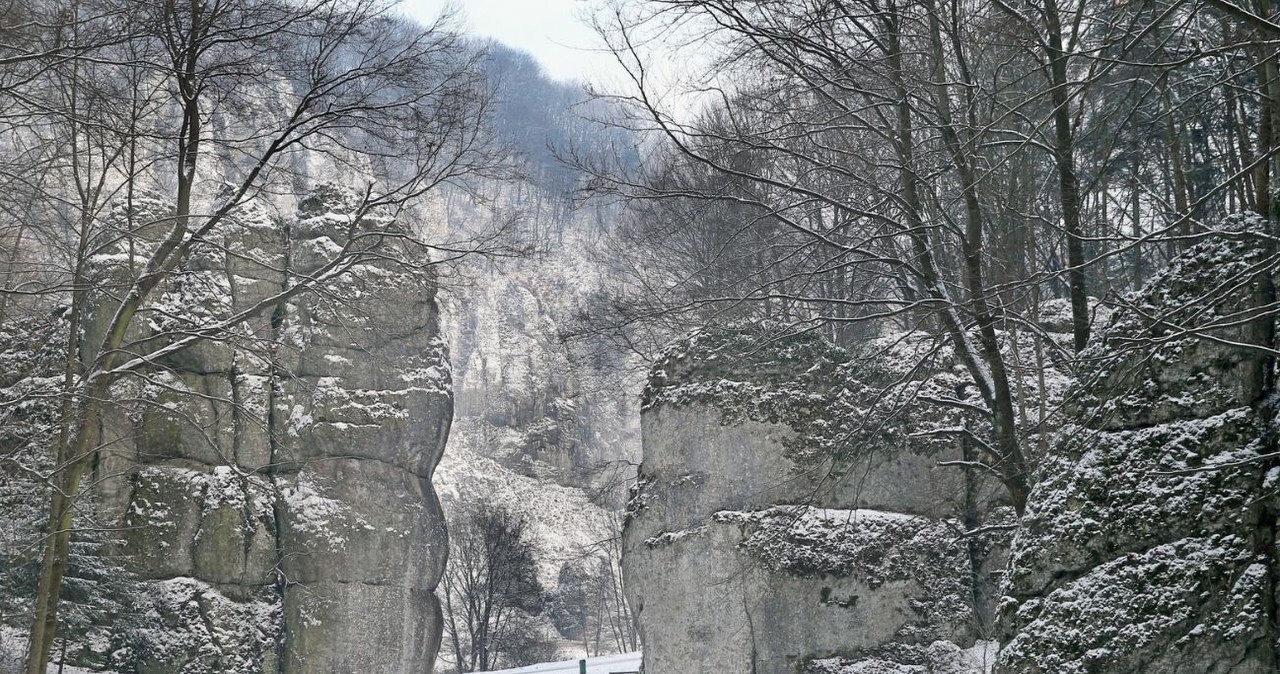 Brama Krakowska jest jedną z ciekawszych atrakcji w Dolinie Prądnika /MONKPRESS /East News