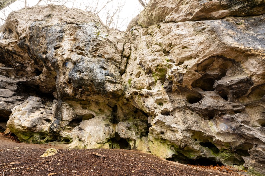 Brama Twardowskiego na Jurze Krakowsko-Częstochowskiej na zdjęciu ilustracyjnym /Shutterstock