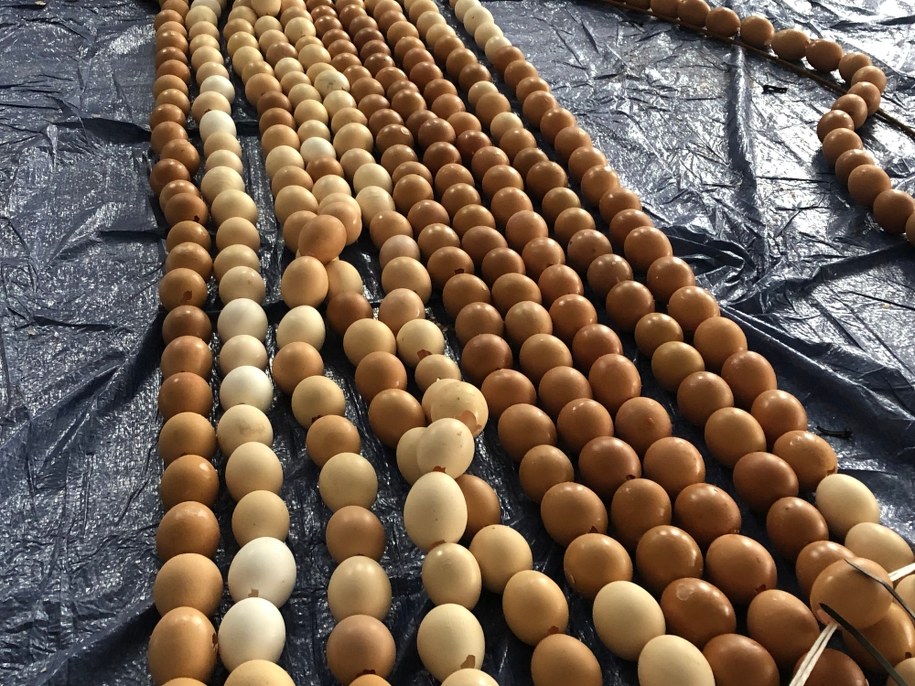 Brama wielkanocna z wydmuszek w czasie powstawania /Anna Kropaczek /RMF FM