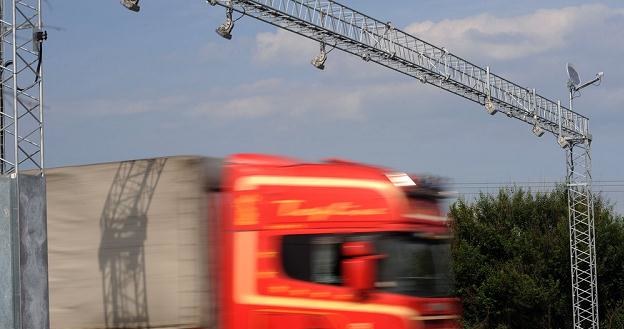 Bramownice pojawią się na wąskiej, jednopasmowej drodze / Fot: Wojciech Stróżyk /Reporter