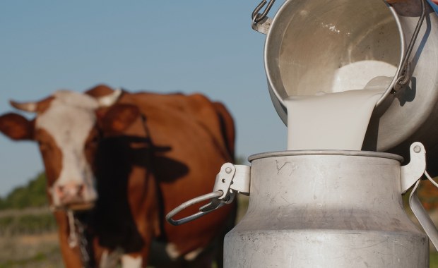 Branża mleczarska nie chce zakazu importu produktów z Ukrainy